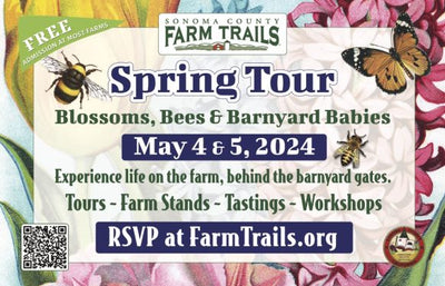 Sonoma County Farm Trails - Blossoms, Bees & Barnyard Babies