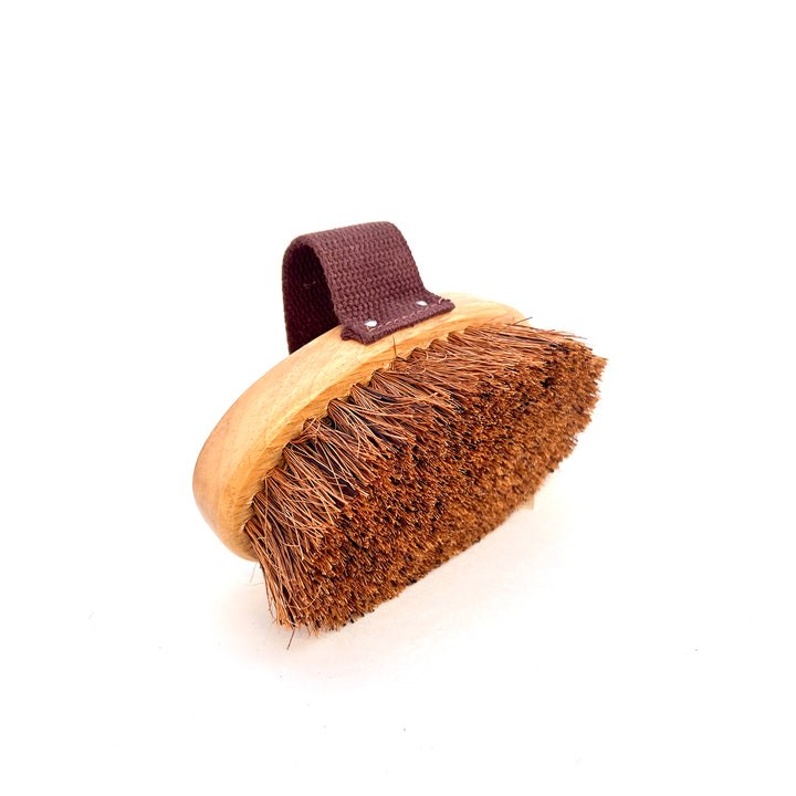 Dog Brush