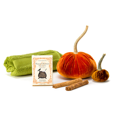 Bar Soap Harvest Pumpkin & Cinnamon