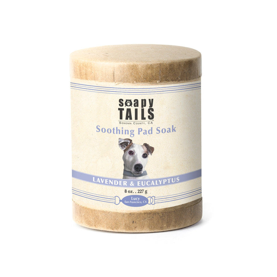 Soapy Tails Soap Cauldron