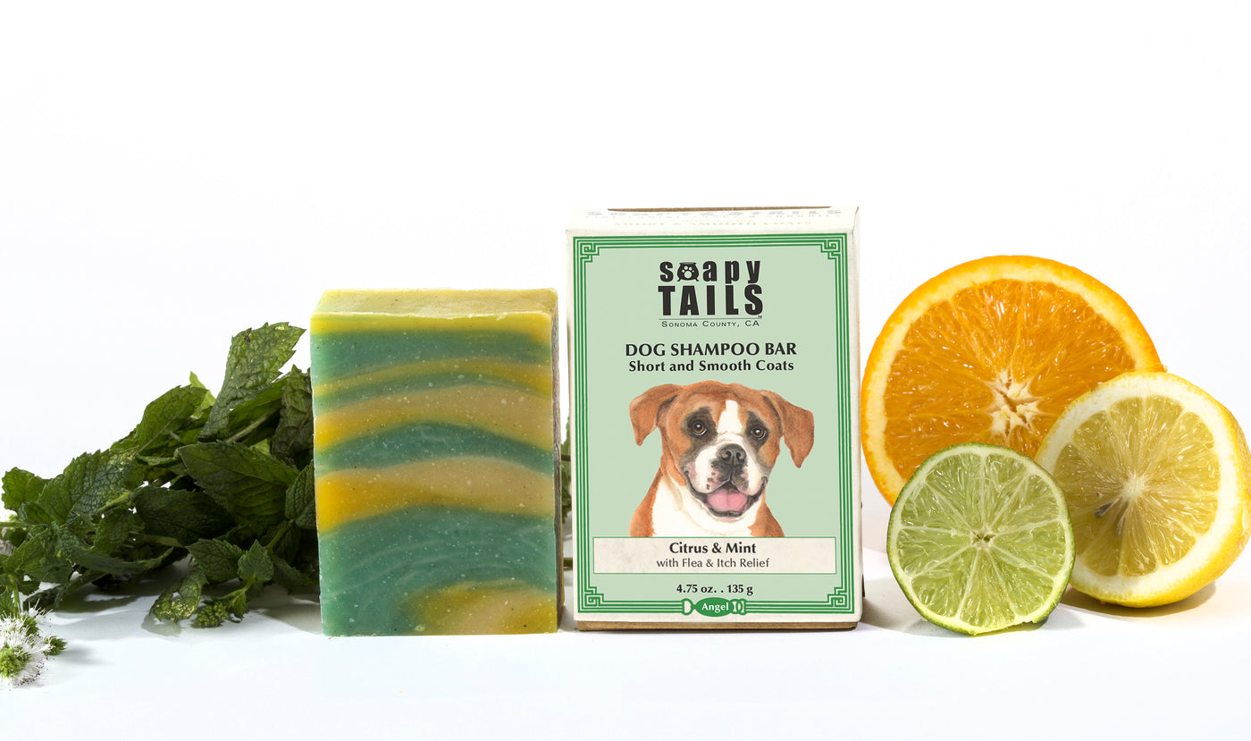 Citrus & Mint Dog Shampoo Bar for Short & Smooth Coats 4.75 oz