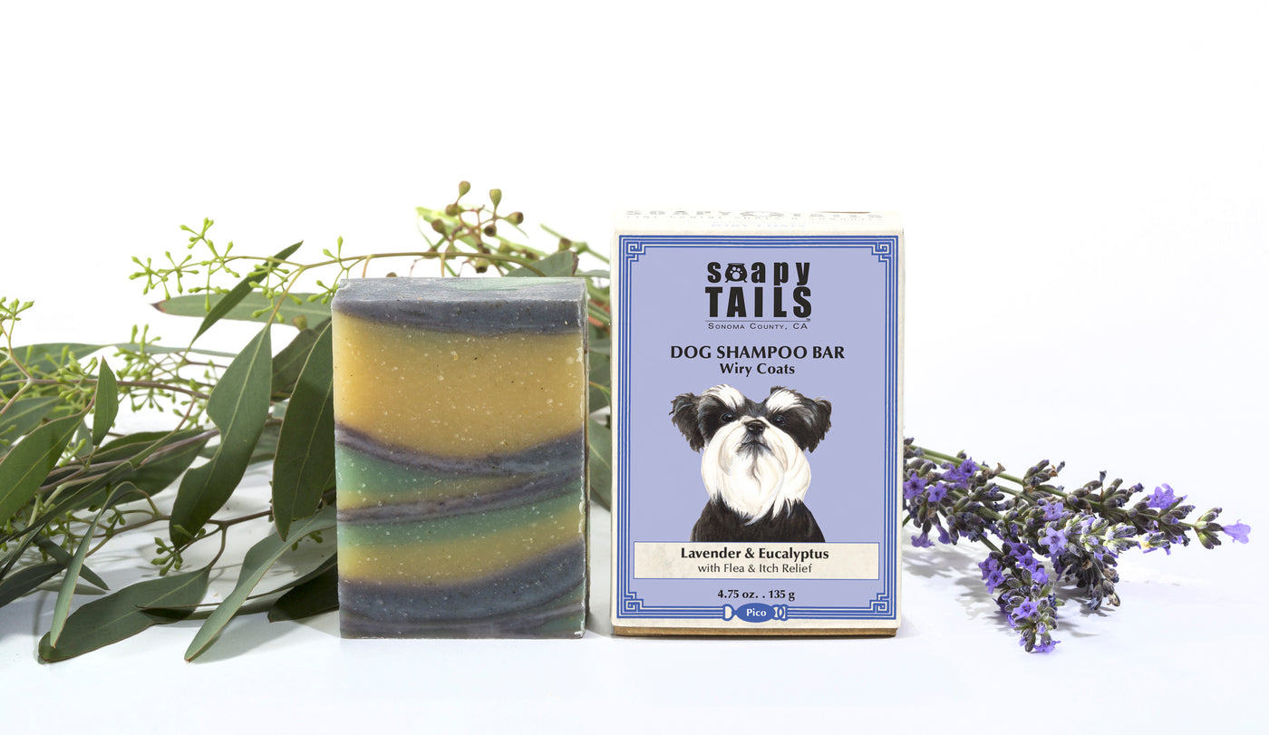 Lavender & Eucalyptus Dog Shampoo Bar for Wiry Coats 4.75 oz